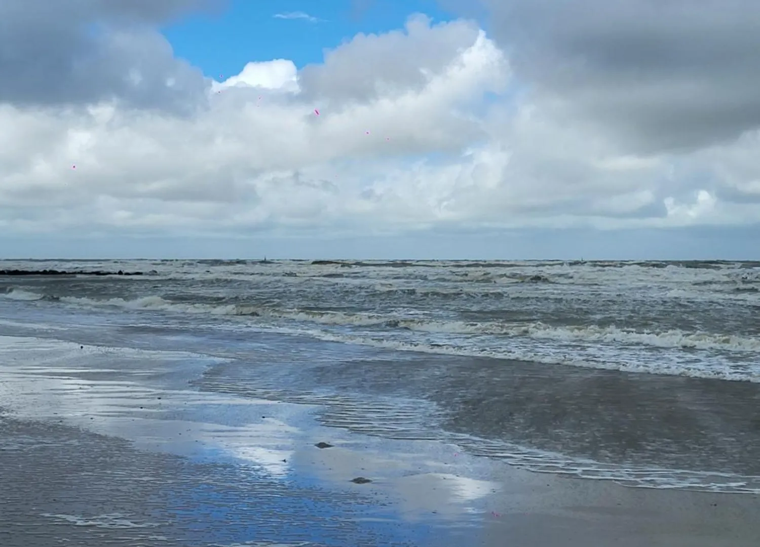 Studio With Sea View And Panoramic View In Bredene 0*,  Belgique